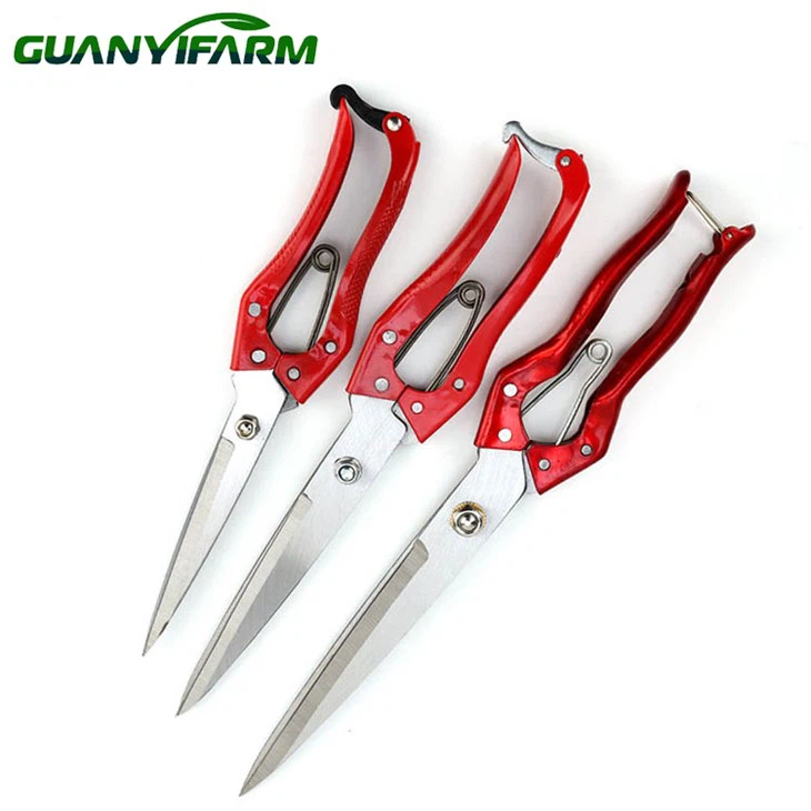 Pemangkas bulu biri-biri