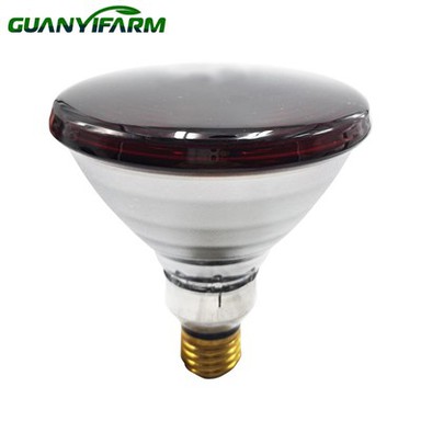 Mentol Lampu Haba 175 Watt