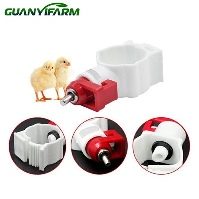 Ayam Dispenser Air Automatik