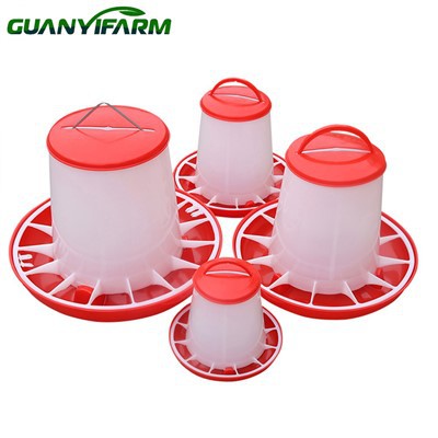 Mangkuk Cawan Makan Burung Nuri