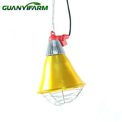 Lampu Suam Pemanas Reban Ayam