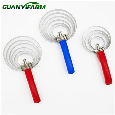 Berus Kari Untuk Kuda