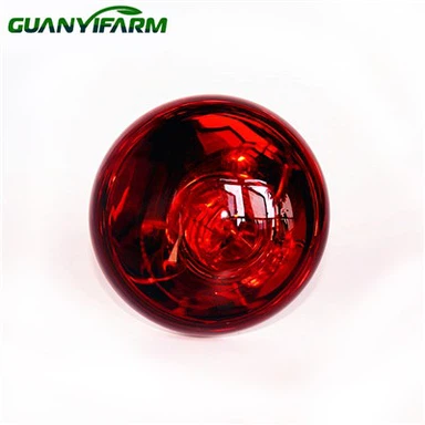 Mentol Inframerah Untuk Anak Ayam