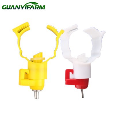 Peminum Puting Untuk Burung