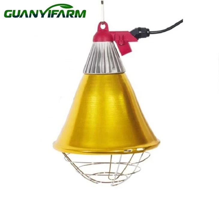 Lampu Inframerah Untuk Ayam