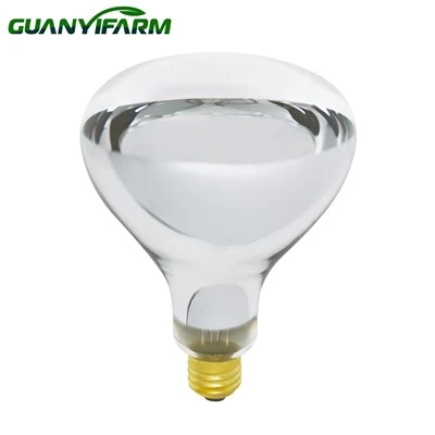 Mentol Lampu Haba Merah 250w