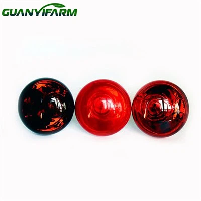 Mentol Haba Terbaik Untuk Anak Ayam