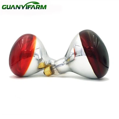 R125 Inframerah 250w